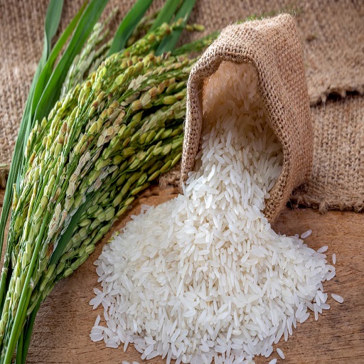 Organic Rice