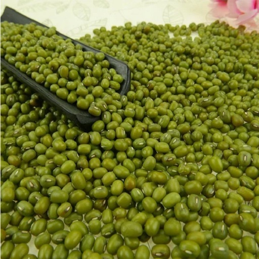 moong (mung beans)