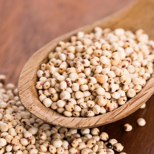 jowar (sorghum)