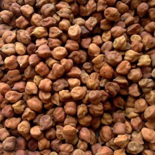 Organic Channa