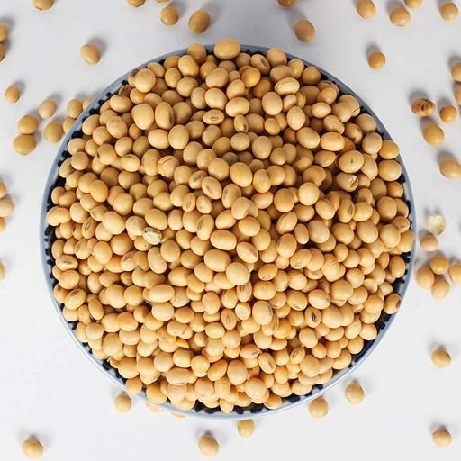 Organic Soyabean