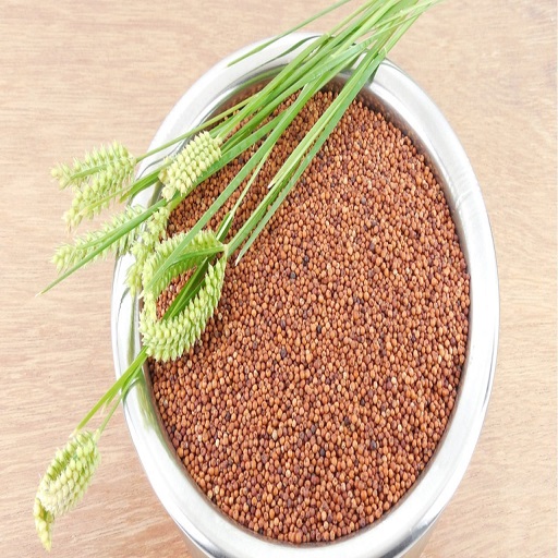 Organic Ragi