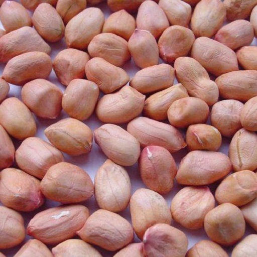 Organic Ground Nut