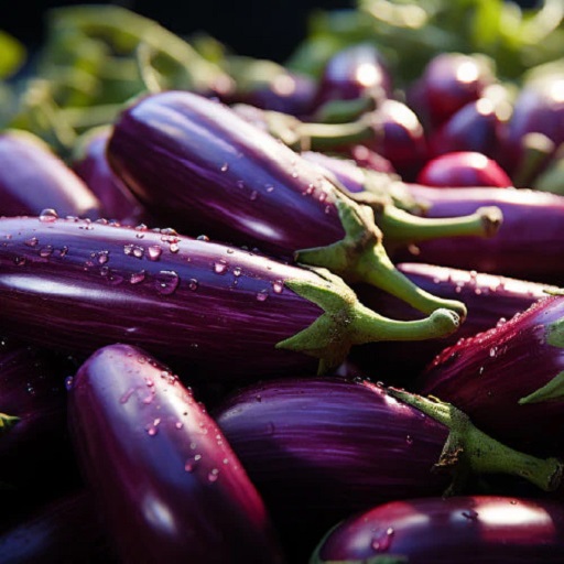 Organic Brinjal