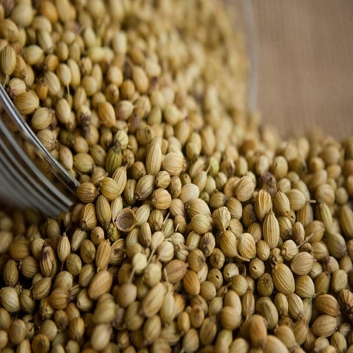 Organic Coriander Seeds Small Size