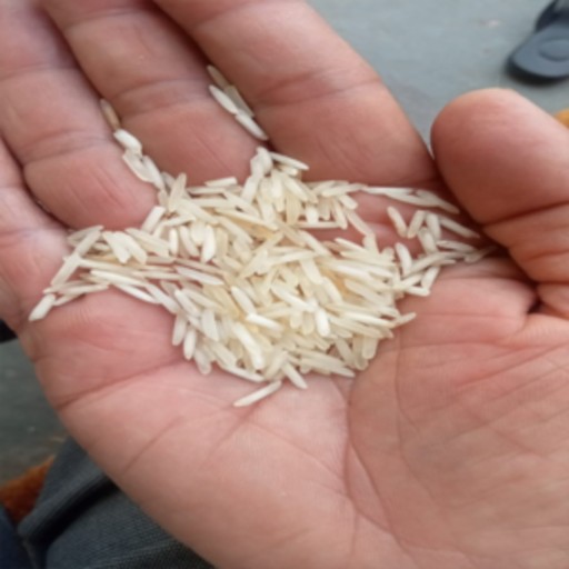 organic biryani rice