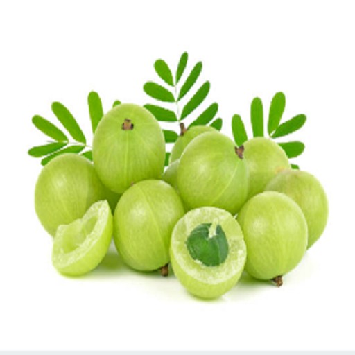 ORGANIC AMLA
