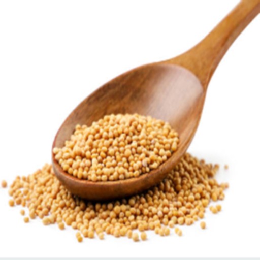 organic musterd yellow