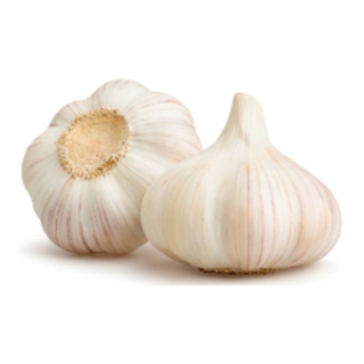organic garlic