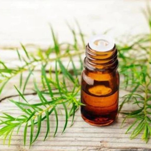 ORGANIC TEA TREE OIL