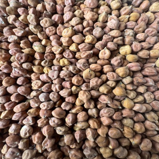 Organic Bengal Grams