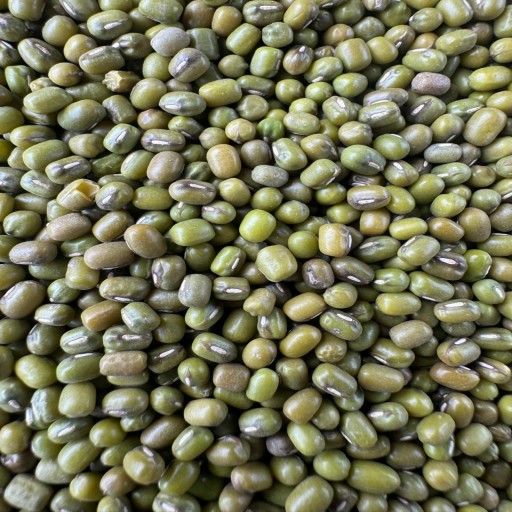 Organic Moong