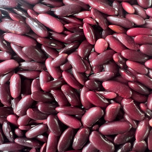 Organic Red Kidney Beans