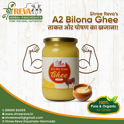 A2 Gir Cows Bilona Ghee 1 Ltr